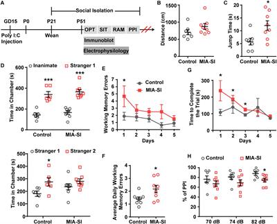 Alterations of Electrophysiological Properties and Ion Channel Expression in Prefrontal Cortex of a Mouse Model of Schizophrenia